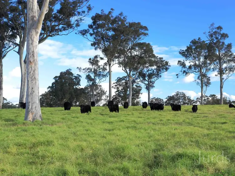 Third view of Homely rural property listing, 221 Fotheringay Road, Clarence Town NSW 2321