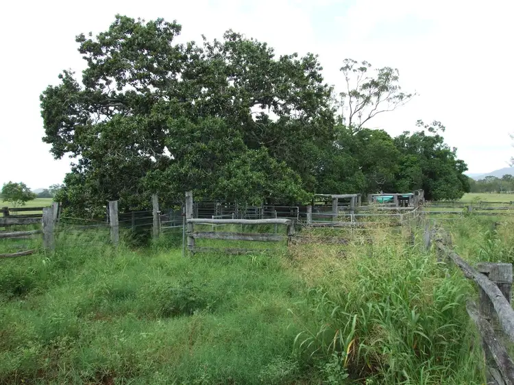 Sixth view of Homely rural property listing, 81193 Bruce Highway, St Lawrence QLD 4707