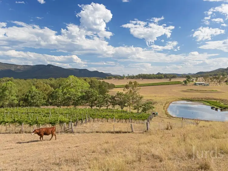Second view of Homely rural property listing, 87 Adams Peak Road, Broke NSW 2330