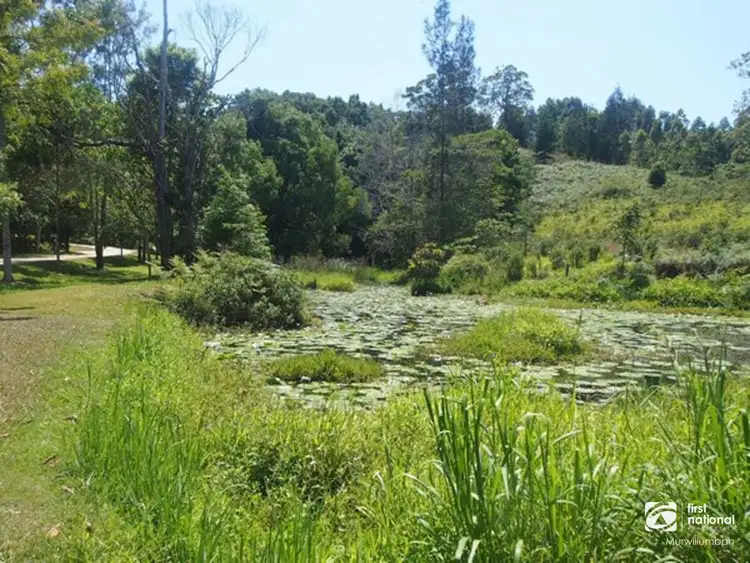 Second view of Homely rural property listing, 653-681 Nobbys Creek Road, Nobbys Creek NSW 2484