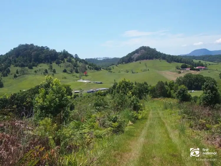 Seventh view of Homely rural property listing, 653-681 Nobbys Creek Road, Nobbys Creek NSW 2484