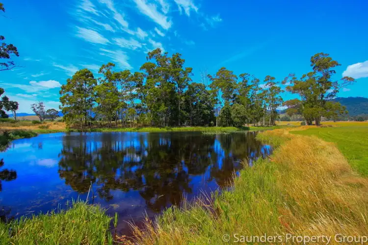 Third view of Homely rural property listing, 36055 Tasman Highway, Springfield TAS 7260