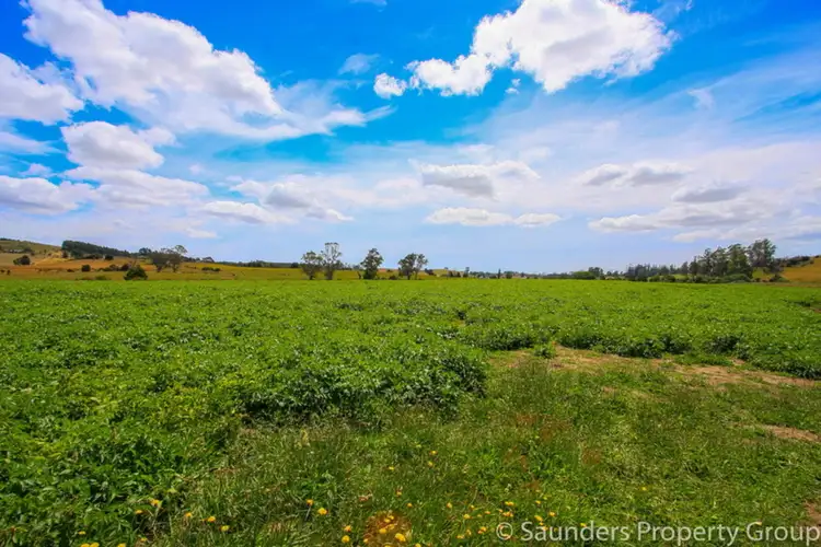 Fifth view of Homely rural property listing, 36055 Tasman Highway, Springfield TAS 7260