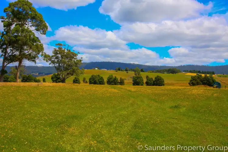 Seventh view of Homely rural property listing, 36055 Tasman Highway, Springfield TAS 7260