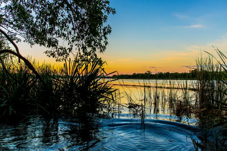 Fifth view of Homely rural property listing, LOT 582 Packsaddle Road, Kununurra WA 6743