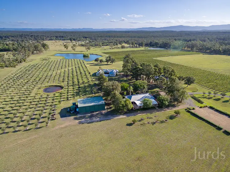 64 Majors Lane, Lovedale NSW 2325