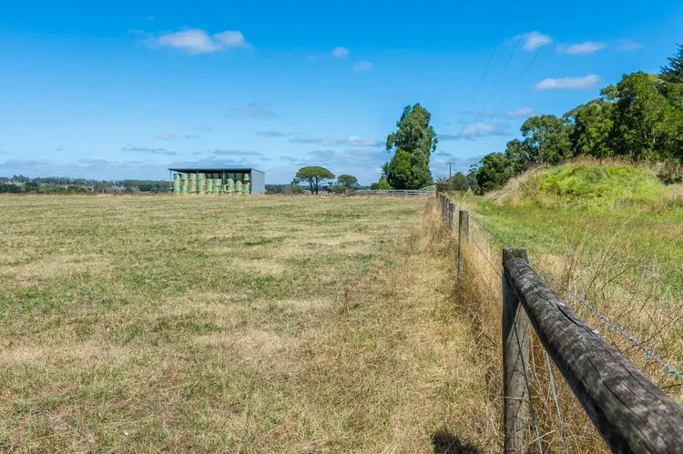 Seventh view of Homely rural property listing, 765 Tomahawk Creek Road, Irrewillipe VIC 3249