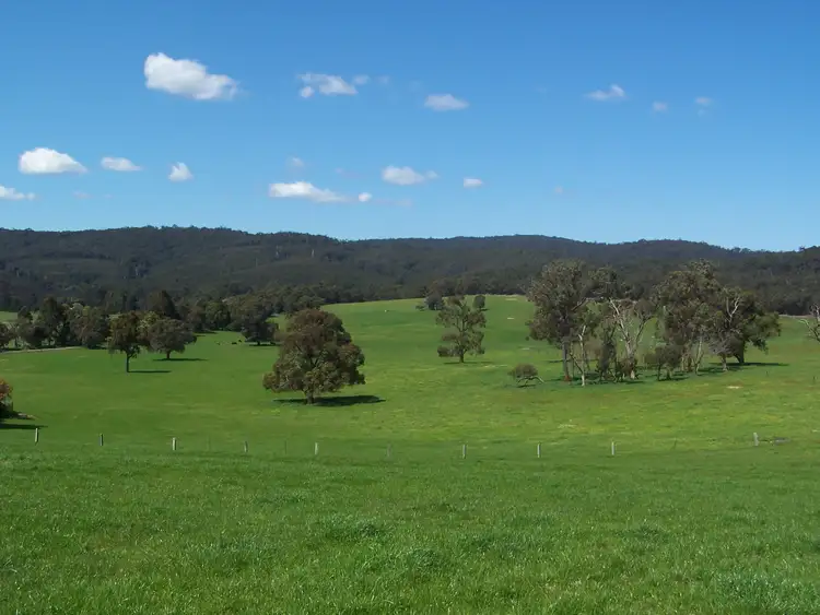 Second view of Homely rural property listing, 180 Lardners Track, Gellibrand VIC 3239