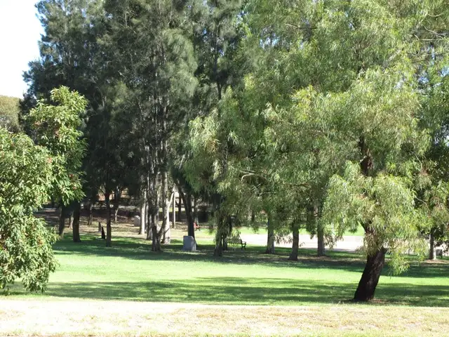 Second view of Homely house listing, 3 Tilbrook Court, Mclaren Vale SA 5171