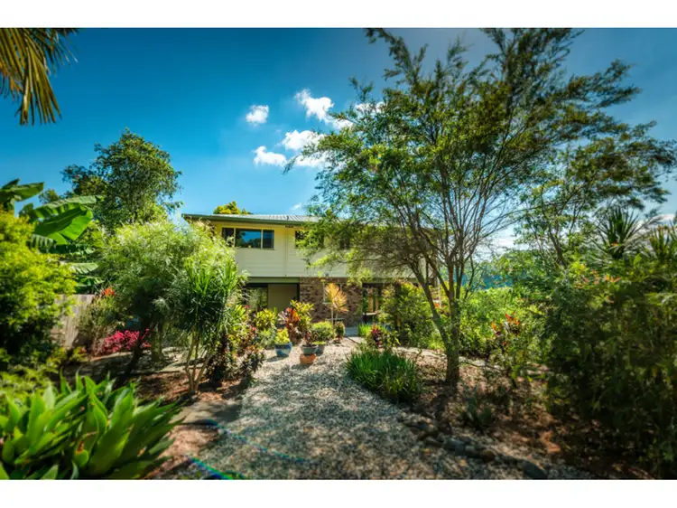 19 Black Street, Bellingen NSW 2454