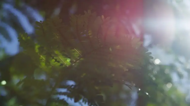 Third view of Homely land listing, 68 Countryview Street, Kingsholme QLD 4208