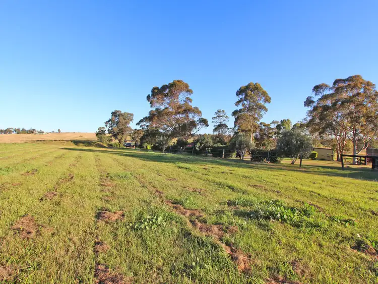 Fourth view of Homely rural property listing, 303 Range Road, Whittingham NSW 2330