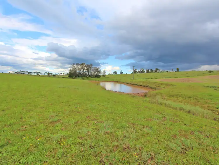 Seventh view of Homely rural property listing, 303 Range Road, Whittingham NSW 2330