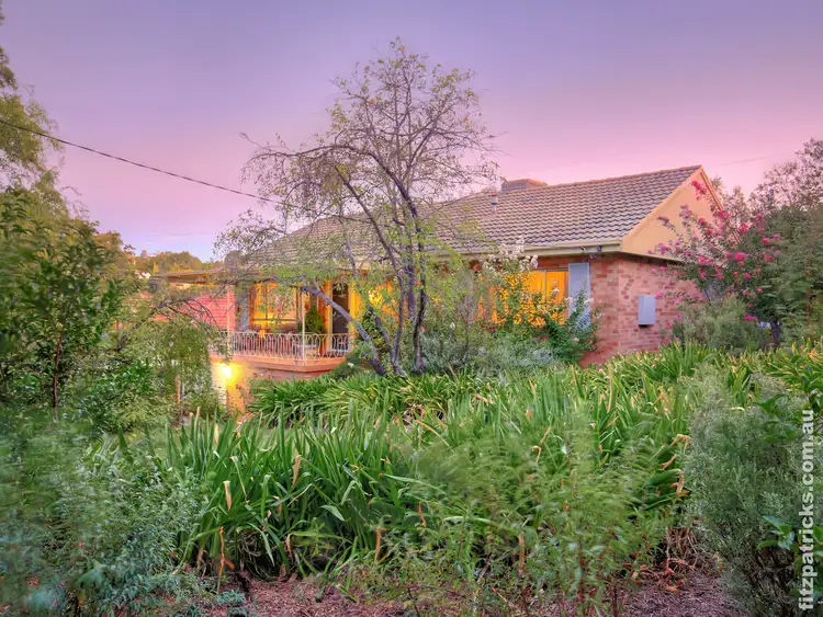 Main view of Homely house listing, 3 Warrawong Street, Kooringal NSW 2650