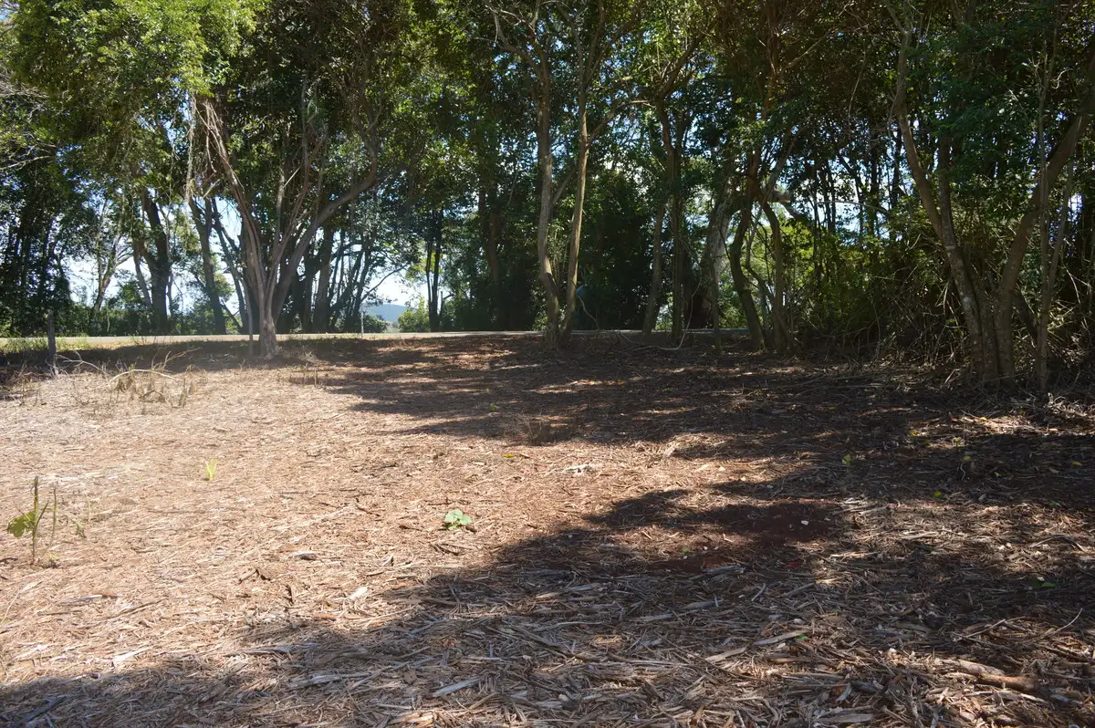 Main view of Homely land listing, 117 Windabout Road, Beechmont QLD 4211