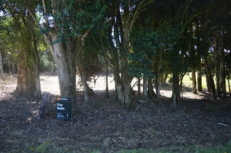 Fourth view of Homely land listing, 117 Windabout Road, Beechmont QLD 4211