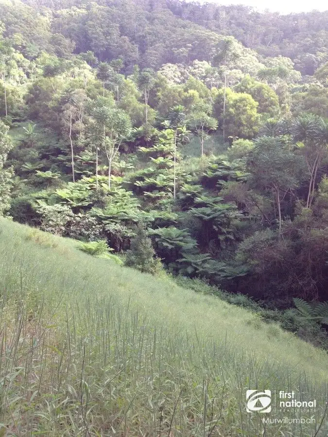 Seventh view of Homely rural property listing, 790 Upper Burringbar Road, Burringbar NSW 2483