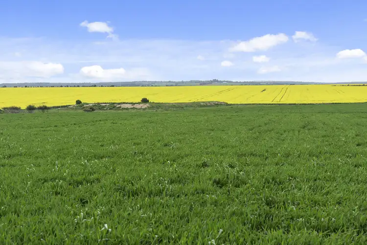 Main view of Homely rural property listing, 789 Shelford Road, Meredith VIC 3333