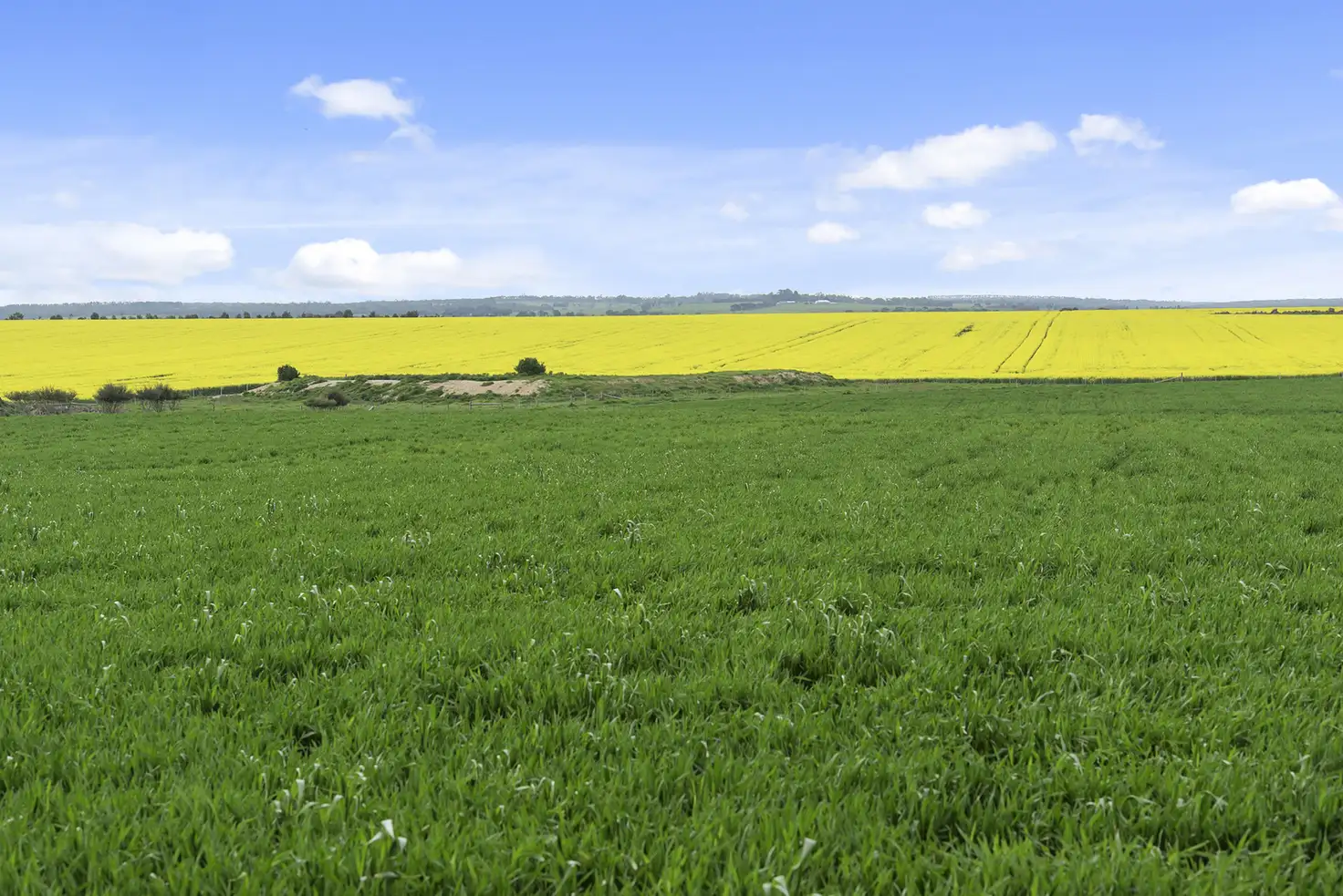 Main view of Homely rural property listing, 789 Shelford Road, Meredith VIC 3333