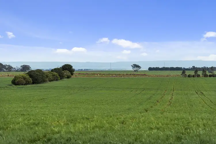 Fifth view of Homely rural property listing, 789 Shelford Road, Meredith VIC 3333