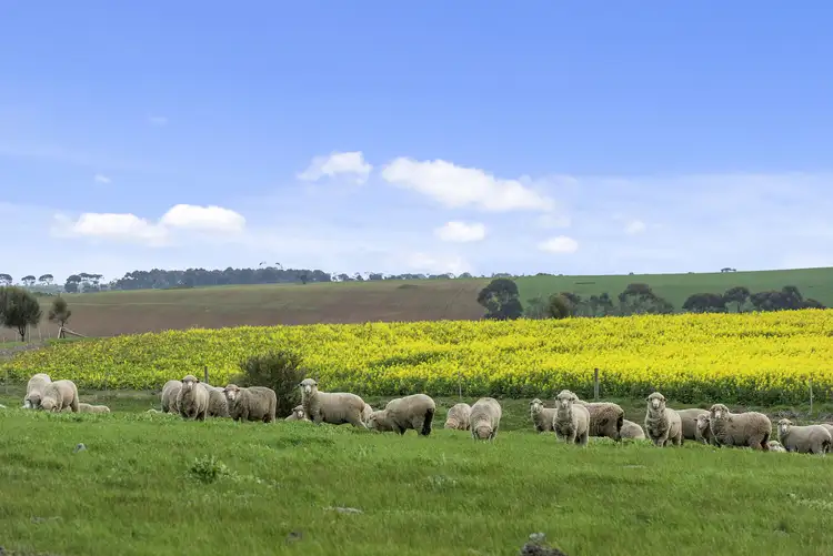 Sixth view of Homely rural property listing, 789 Shelford Road, Meredith VIC 3333