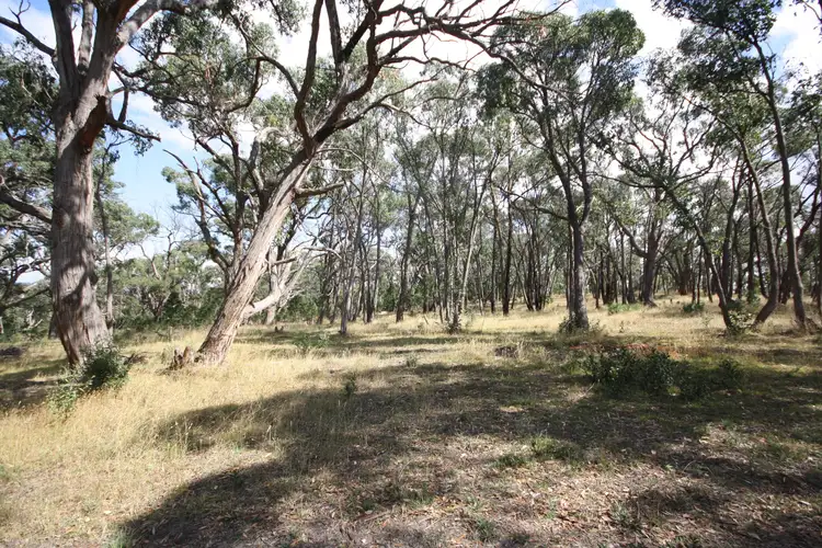 Fourth view of Homely land listing, LOT 4 Silverwattle Drive, Invermay VIC 3352
