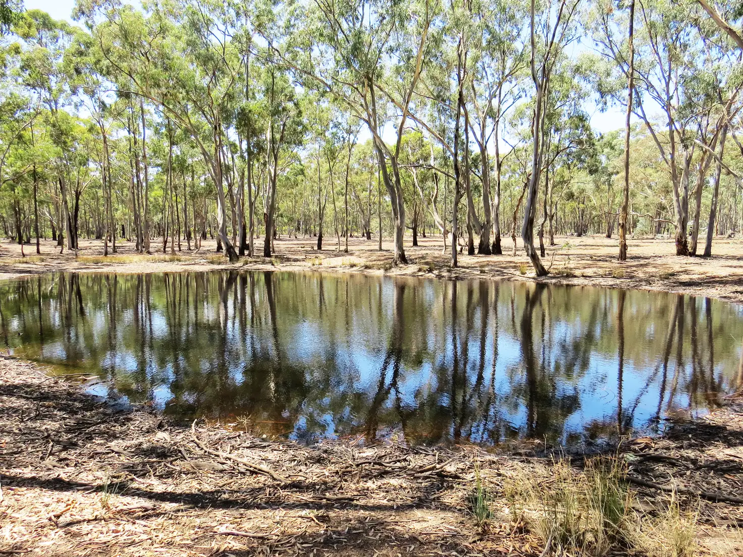 Main view of Homely land listing, LOT 1 Tattersalls Lane, Moormbool West VIC 3523