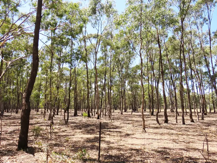 Second view of Homely land listing, LOT 1 Tattersalls Lane, Moormbool West VIC 3523