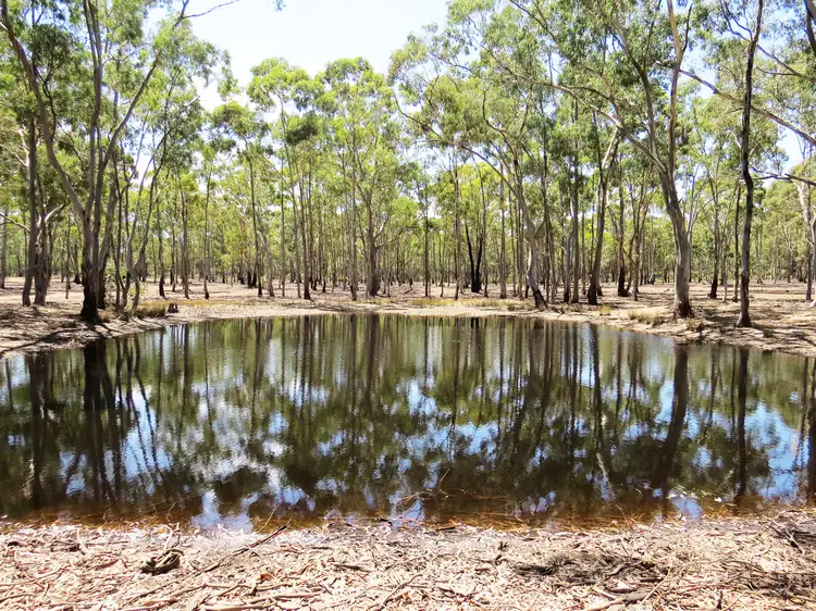 Third view of Homely land listing, LOT 1 Tattersalls Lane, Moormbool West VIC 3523