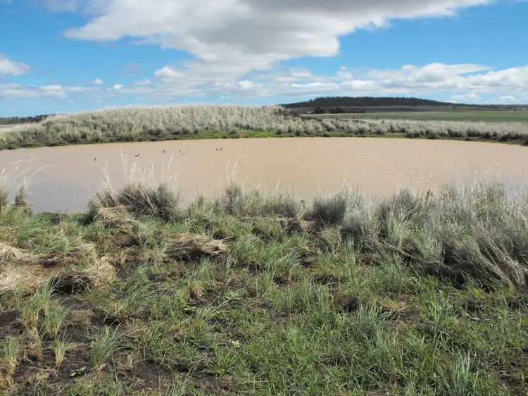 Second view of Homely rural property listing, 291 Back Plains Road, Back Plains QLD 4361