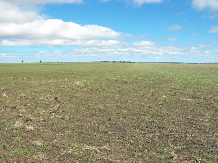 Third view of Homely rural property listing, 291 Back Plains Road, Back Plains QLD 4361