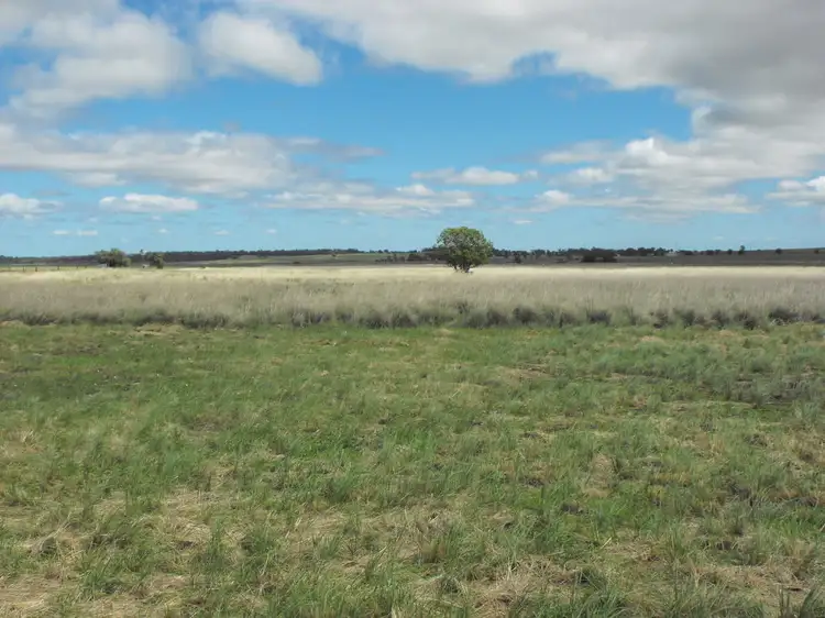 Fourth view of Homely rural property listing, 291 Back Plains Road, Back Plains QLD 4361