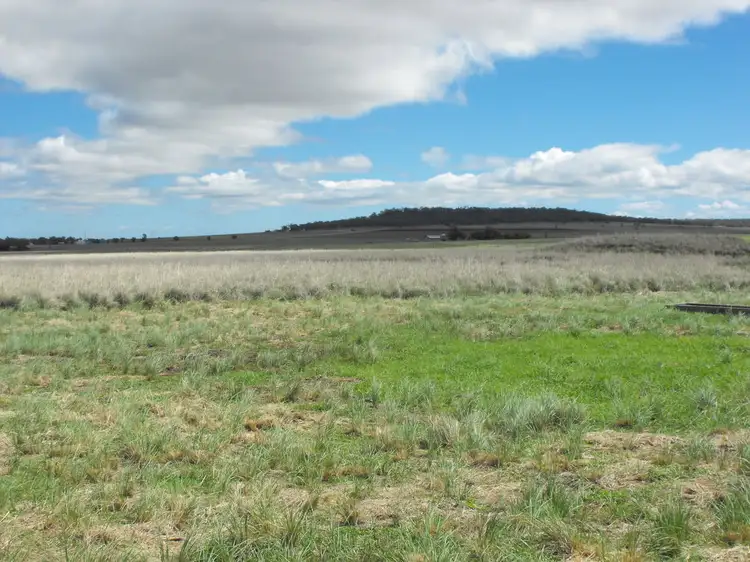 Fifth view of Homely rural property listing, 291 Back Plains Road, Back Plains QLD 4361