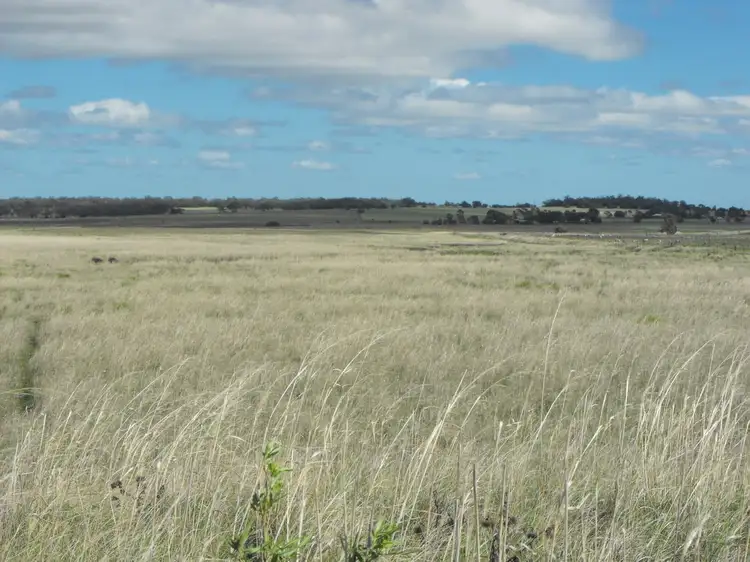 Sixth view of Homely rural property listing, 291 Back Plains Road, Back Plains QLD 4361