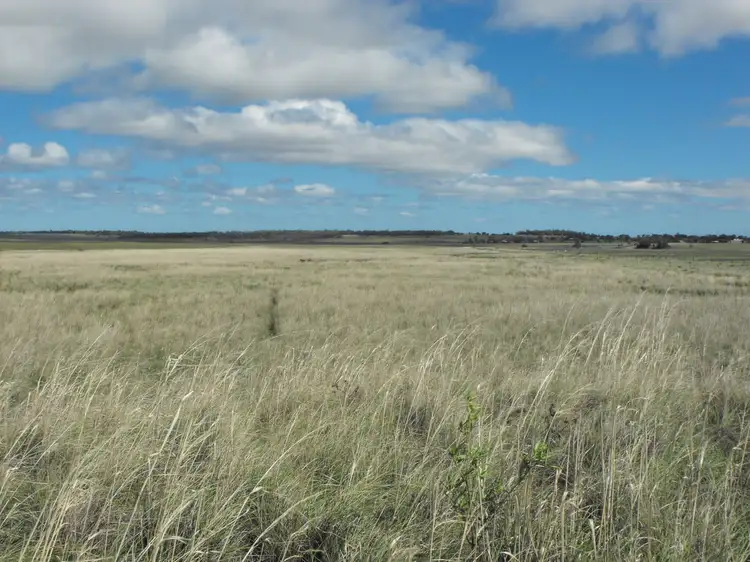 Seventh view of Homely rural property listing, 291 Back Plains Road, Back Plains QLD 4361