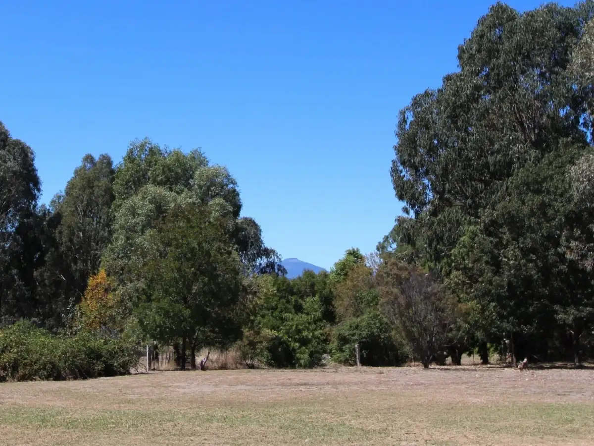 Main view of Homely rural property listing, 22 Hillton Court, Mansfield VIC 3722