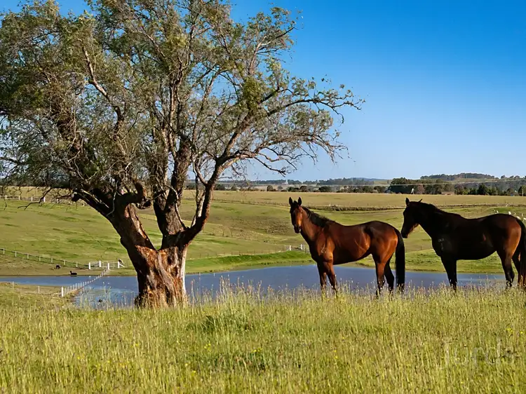 Second view of Homely rural property listing, 665 Luskintyre Road, Luskintyre NSW 2321