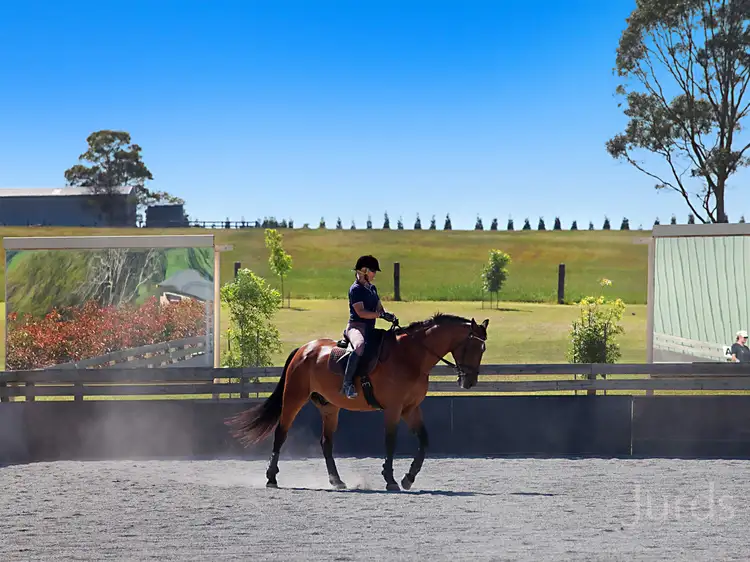 Fifth view of Homely rural property listing, 665 Luskintyre Road, Luskintyre NSW 2321