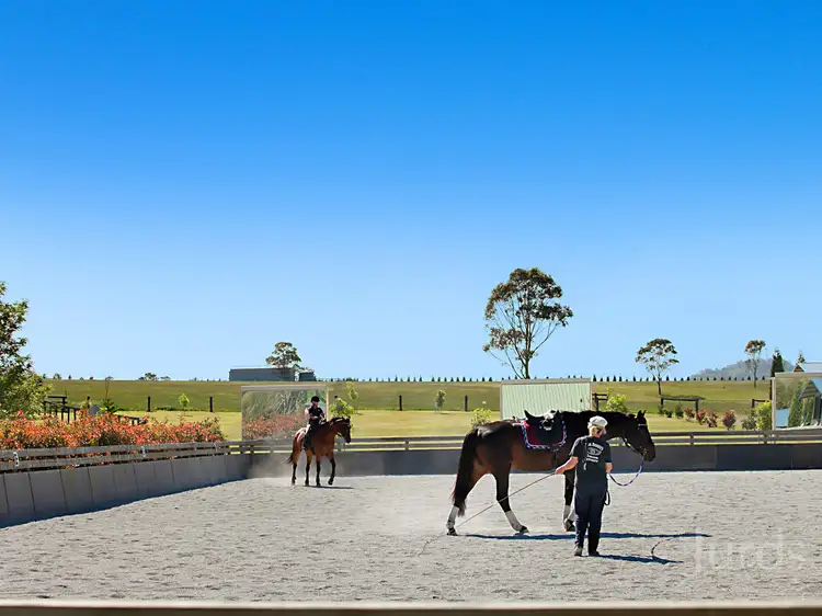 Sixth view of Homely rural property listing, 665 Luskintyre Road, Luskintyre NSW 2321