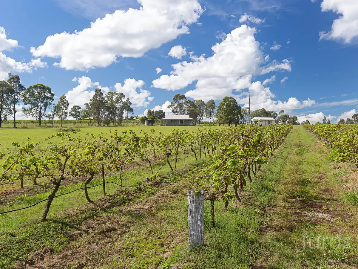 Main view of Homely rural property listing, 991 McDonalds Road, Pokolbin NSW 2320