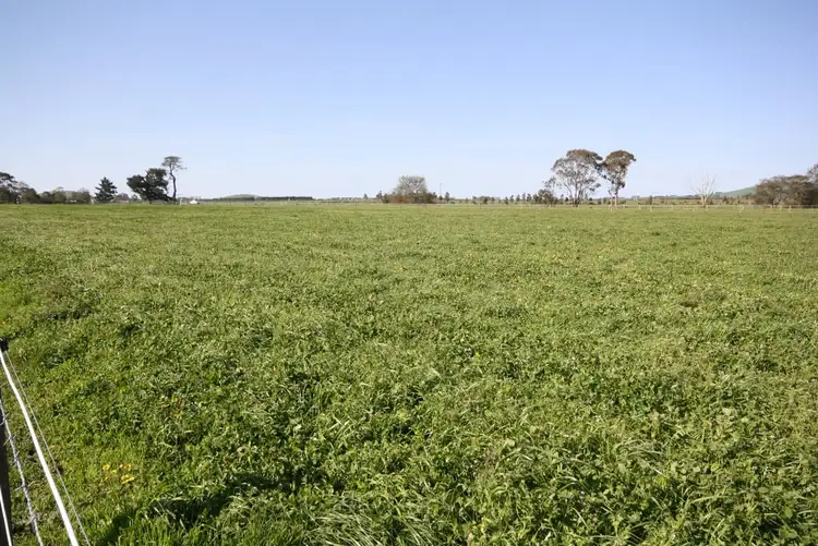 Fourth view of Homely rural property listing, 445 Davenport Road, Windermere VIC 3352