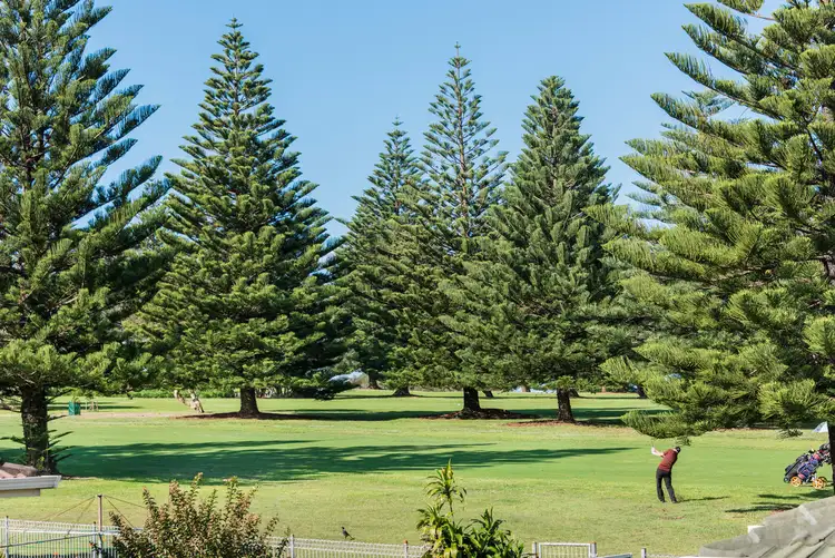 Seventh view of Homely house listing, 110 Grandview Street, Shelly Beach NSW 2261
