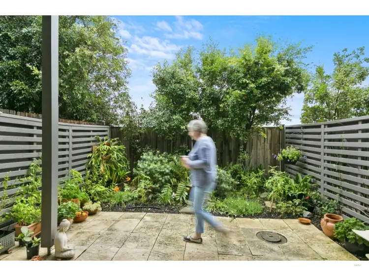 39 Coast Drive, Torquay VIC 3228