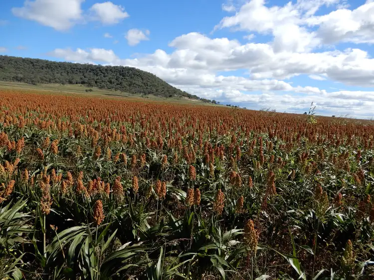 Third view of Homely rural property listing, LOT 131 Goomburra Road, Berat QLD 4362