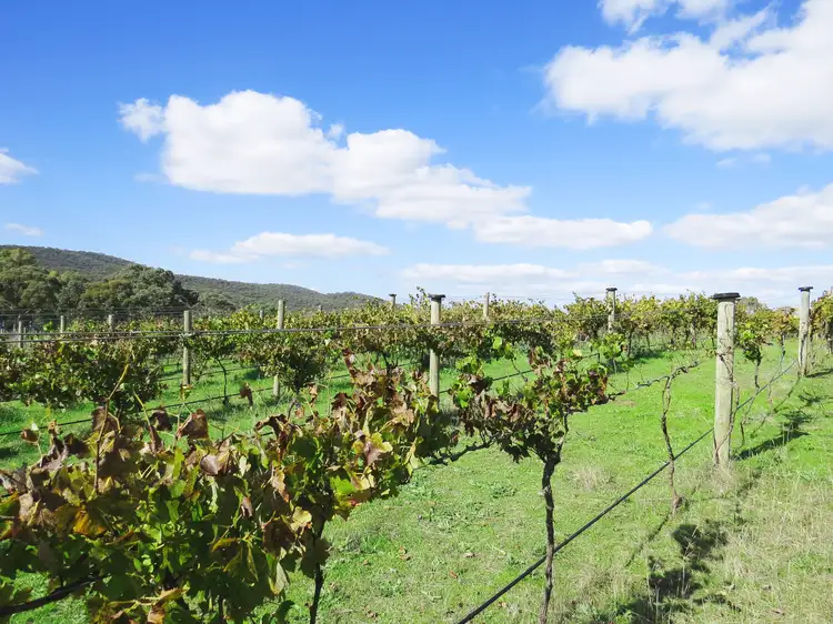 Fourth view of Homely land listing, LOT CA 8 Peddersen Street, Heathcote VIC 3523