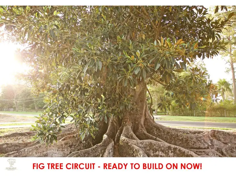 Fifth view of Homely land listing, LOT 6, 133 Jensen Road, Caboolture QLD 4510