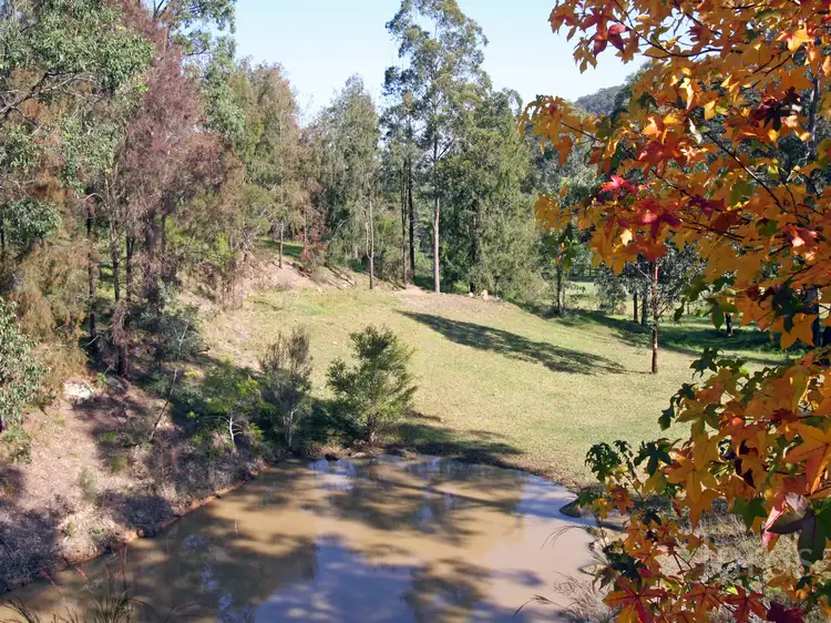 Fifth view of Homely rural property listing, 1845 Wollombi Road, Sweetmans Creek NSW 2325