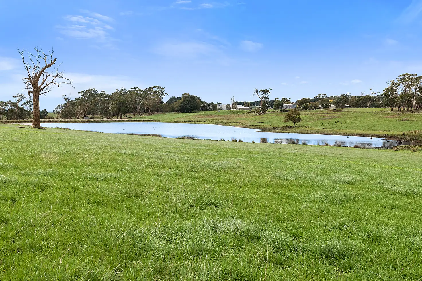 Main view of Homely rural property listing, 30 Blacks Road, Irrewillipe VIC 3249