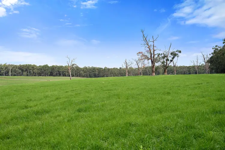 Fifth view of Homely rural property listing, 30 Blacks Road, Irrewillipe VIC 3249