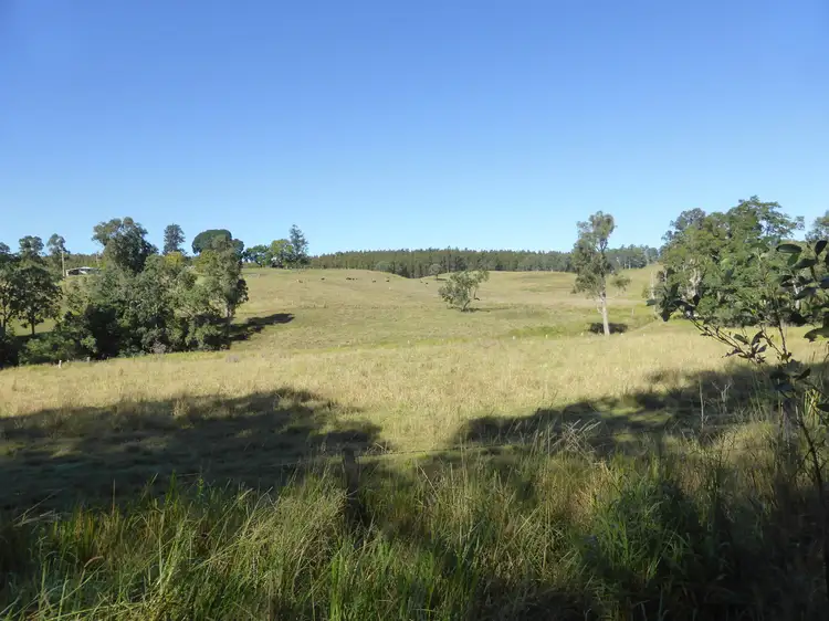 Second view of Homely rural property listing, 263 Dunns Road, Doubtful Creek NSW 2470